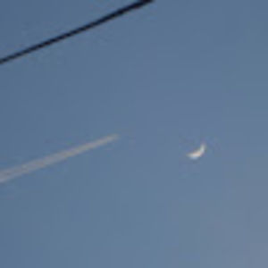 Meet your Posher, Talia